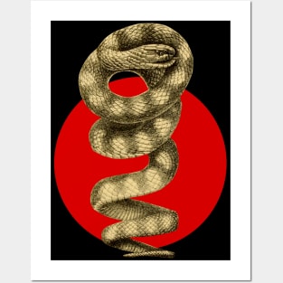 Brown-banded snake Posters and Art